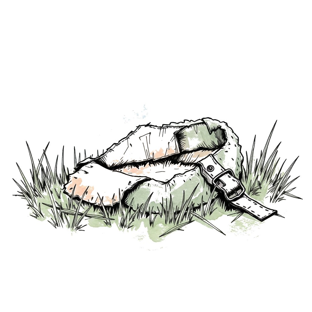 Watercolour illustration of a tattered sheep's collar lying in the grass