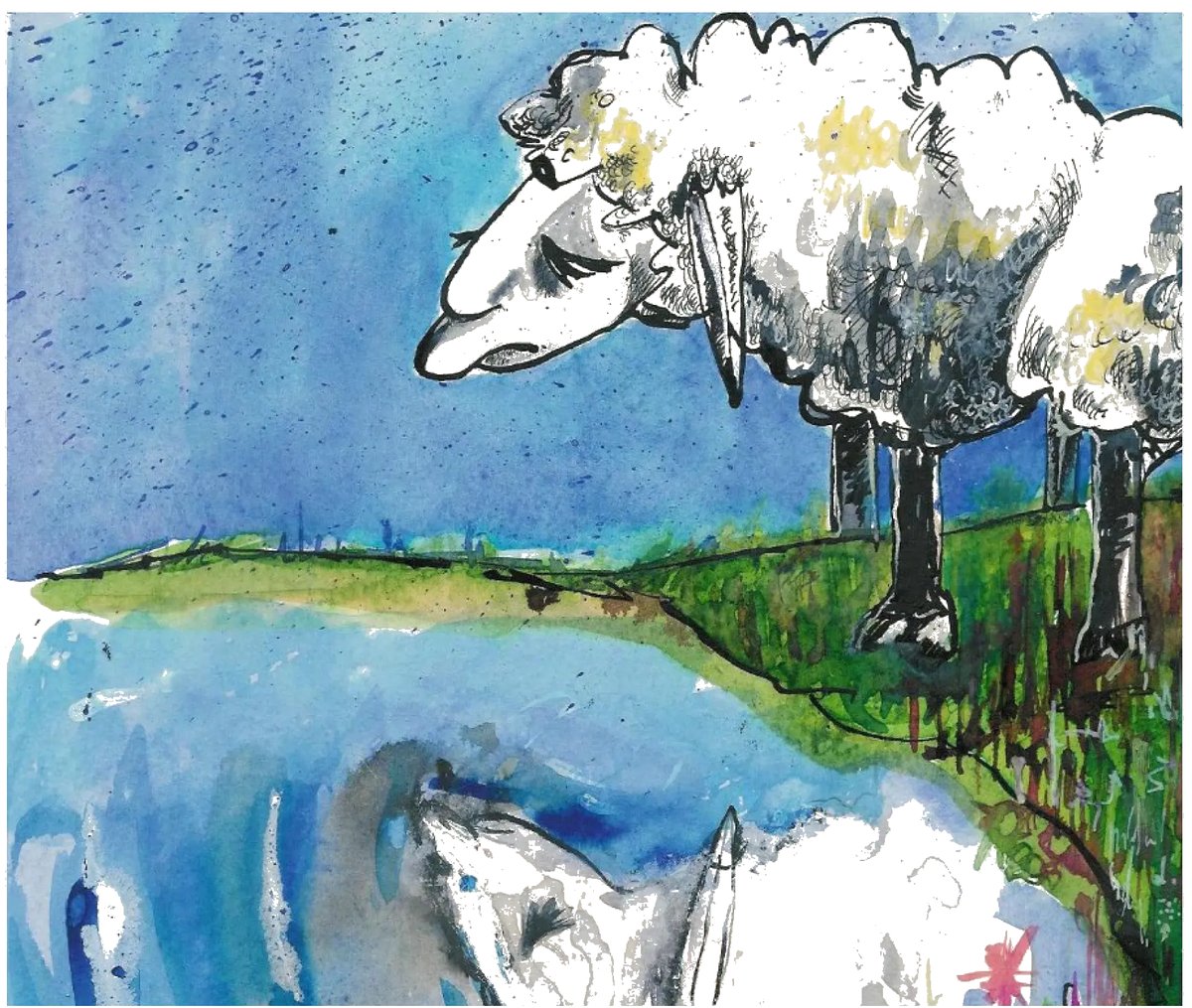 Watercolour illustration of Heryshaf the sheep standing beside blue water and green hills