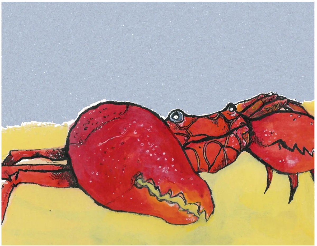 Watercolour illustration of Reggie the red crab
