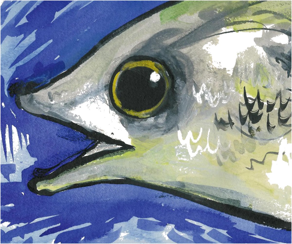 Watercolour illustration of Jonk the fish in deep blue water